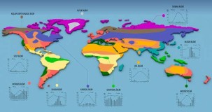 Dünyada neden farklı iklimler görülür?